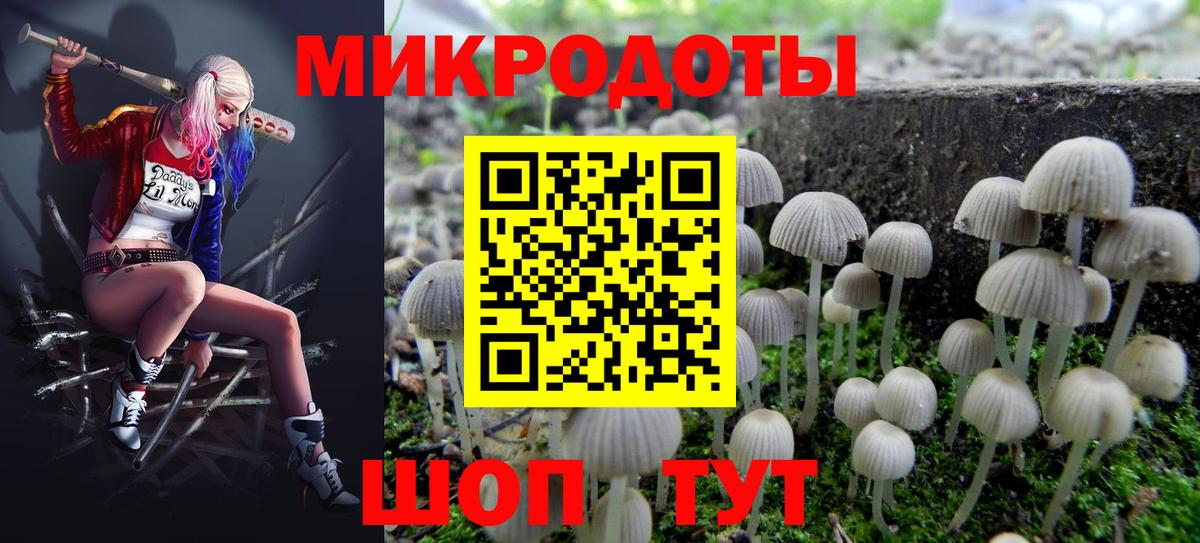 Люберцы  Галлюциногенные грибы прущие грибы  Вход с VPN 