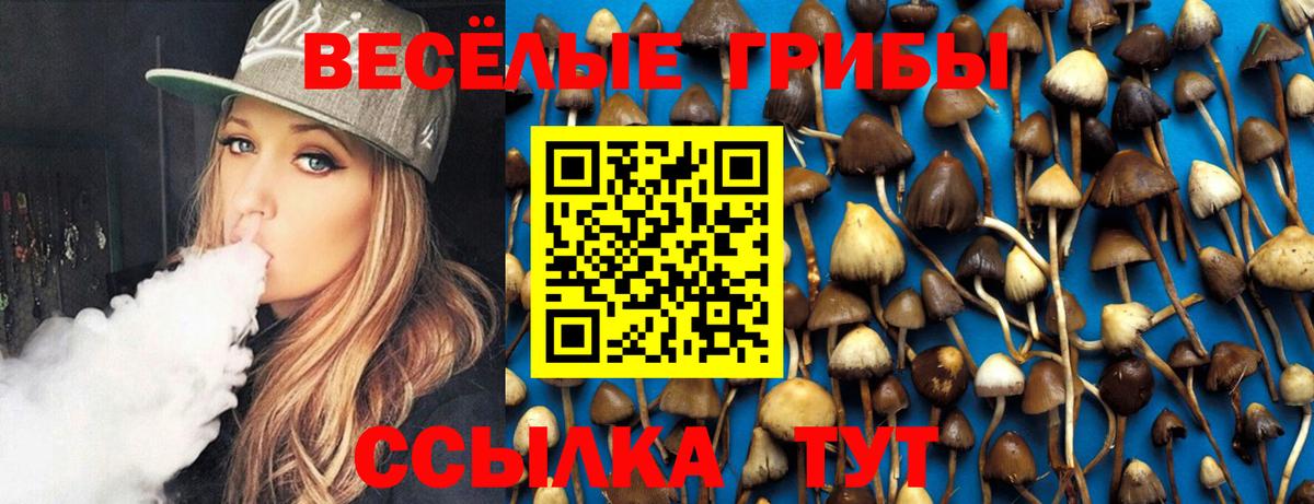 Галлюциногенные грибы Magic Shrooms Люберцы